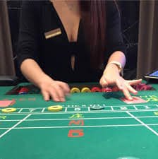 Dragon Tiger live-dealer table showing card positions, dealer interface, and betting options on garudahoki slot
